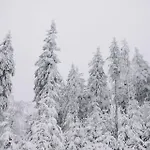 Familienurlaub Pur Iii Und Jugendliche Bis 17 Frei Iii Hund Willkommen Iii Sauna Im Haus Iii Direkt Vor Der Tuer Iii Nah An Winterberg Fuer Wandern Und Abenteuer *