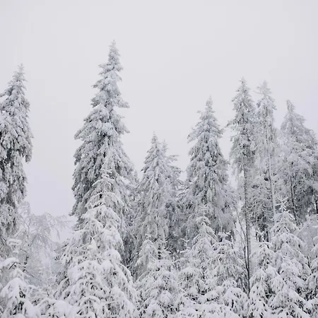 Familienurlaub Pur Iii Und Jugendliche Bis 17 Frei Iii Hund Willkommen Iii Sauna Im Haus Iii Direkt Vor Der Tuer Iii Nah An Winterberg Fuer Wandern Und Abenteuer *