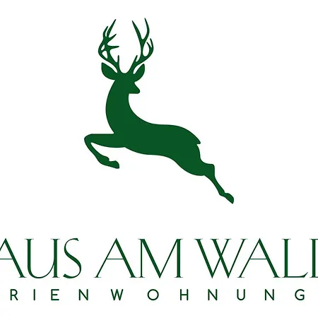 Familienurlaub Pur Iii Und Jugendliche Bis 17 Frei Iii Hund Willkommen Iii Sauna Im Haus Iii Direkt Vor Der Tuer Iii Nah An Winterberg Fuer Wandern Und Abenteuer شقة ميدهباخ
