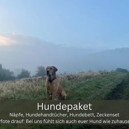 公寓 Familienurlaub Pur Iii Und Jugendliche Bis 17 Frei Iii Hund Willkommen Iii Sauna Im Haus Iii Direkt Vor Der Tuer Iii Nah An Winterberg Fuer Wandern Und Abenteuer 梅德巴赫