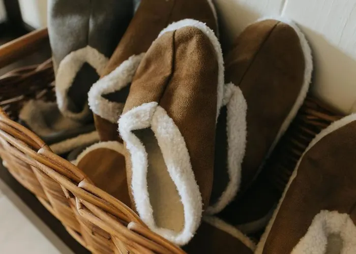 Familienurlaub Pur Iii Und Jugendliche Bis 17 Frei Iii Hund Willkommen Iii Sauna Im Haus Iii Direkt Vor Der Tuer Iii Nah An Winterberg Fuer Wandern Und Abenteuer