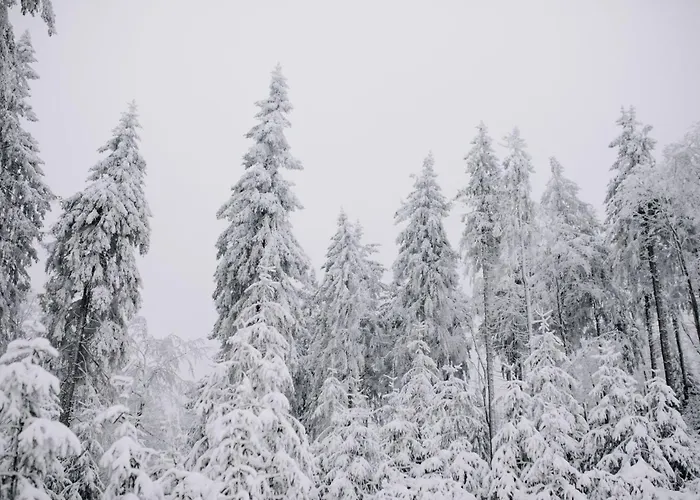 Familienurlaub Pur Iii Und Jugendliche Bis 17 Frei Iii Hund Willkommen Iii Sauna Im Haus Iii Direkt Vor Der Tuer Iii Nah An Winterberg Fuer Wandern Und Abenteuer *