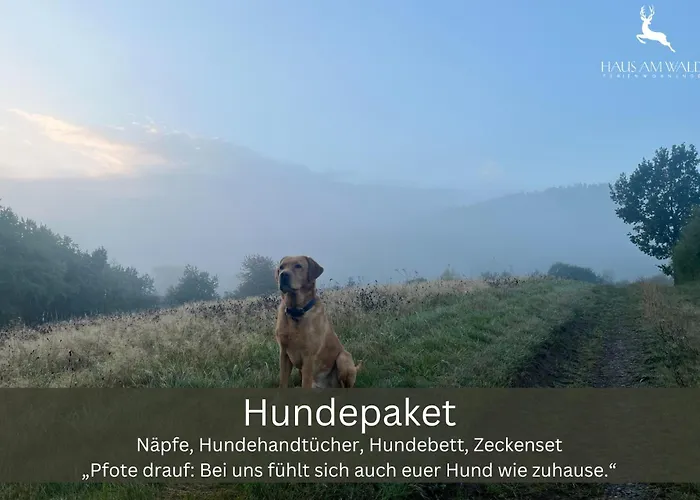 公寓 Familienurlaub Pur Iii Und Jugendliche Bis 17 Frei Iii Hund Willkommen Iii Sauna Im Haus Iii Direkt Vor Der Tuer Iii Nah An Winterberg Fuer Wandern Und Abenteuer 梅德巴赫